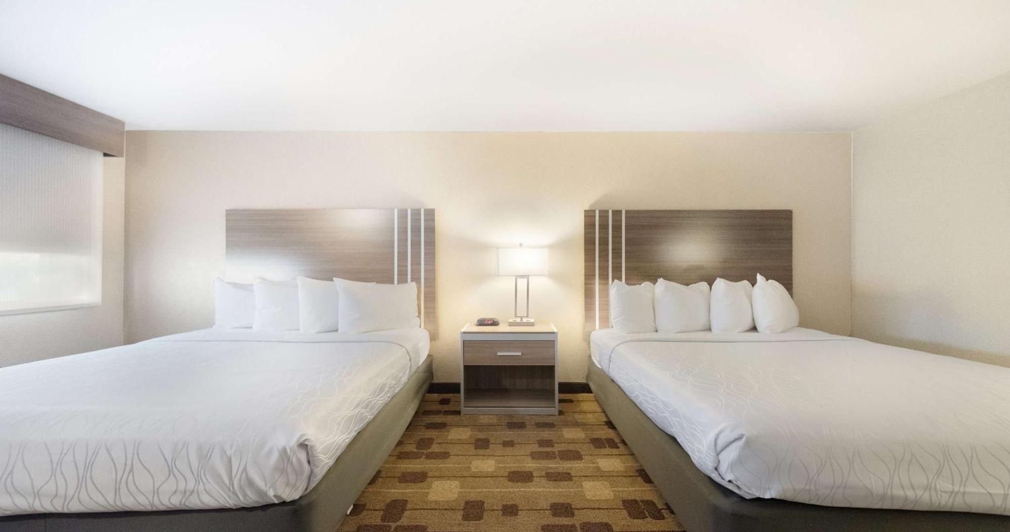 Best Western Amador Inn Τζάκσον Εξωτερικό φωτογραφία