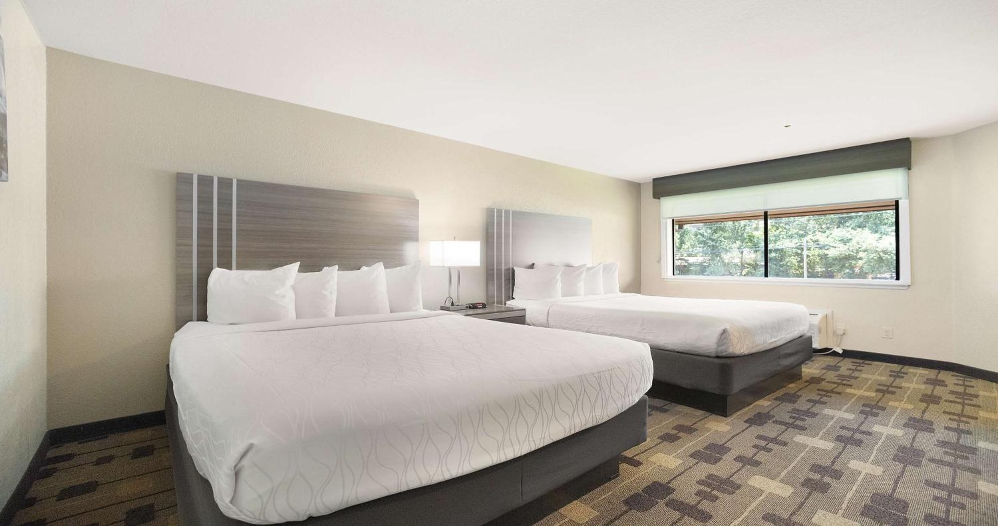 Best Western Amador Inn Τζάκσον Εξωτερικό φωτογραφία
