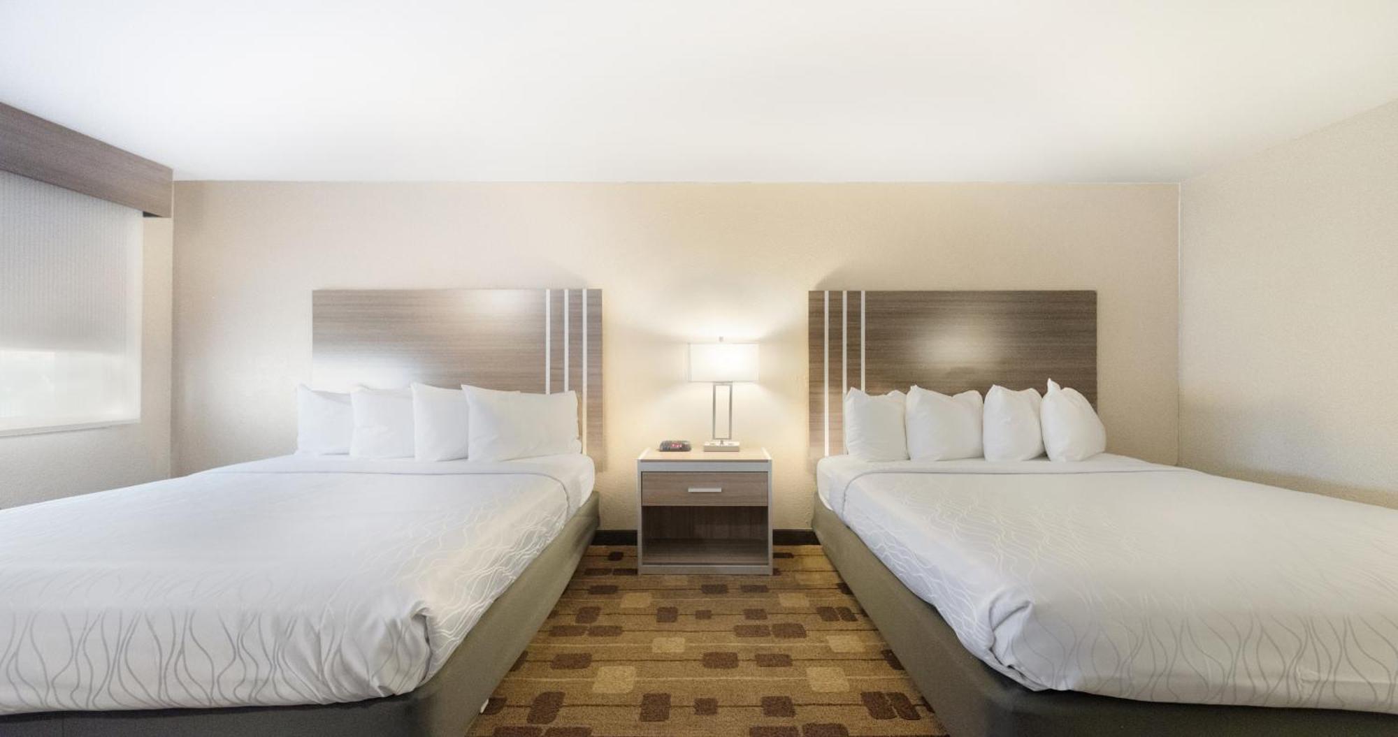 Best Western Amador Inn Τζάκσον Εξωτερικό φωτογραφία